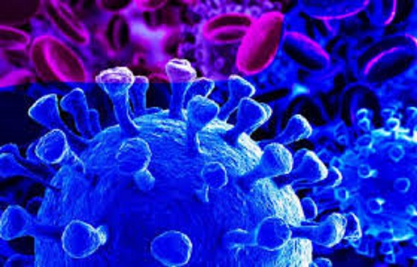 Has Coronavirus Killed Flu Influenza Cases Nosedive By 98 Percent