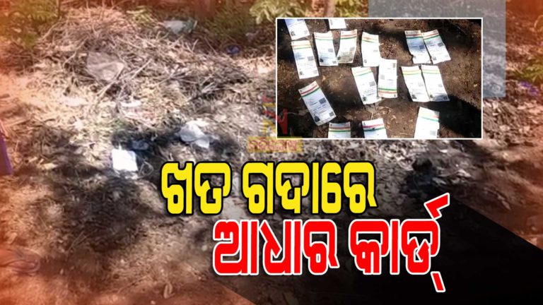 ଆଧାର, ପାନ ଏବଂ ଡିଏଲ କାର୍ଡର ଠିକଣା ପାଲଟିଛି ଗୋବର ଗଦା !