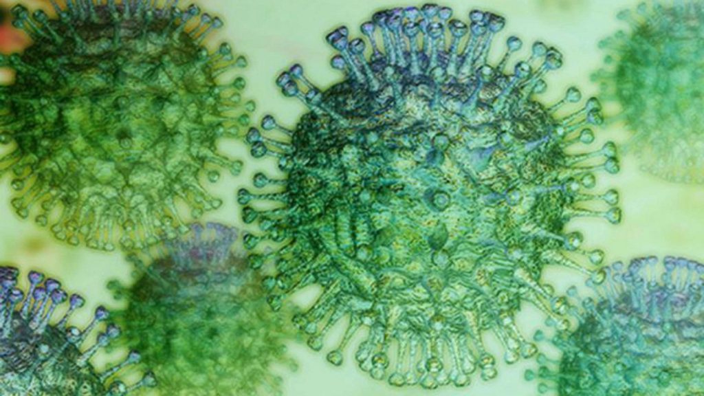 Has Coronavirus Killed Flu Influenza Cases Nosedive By 98 Percent