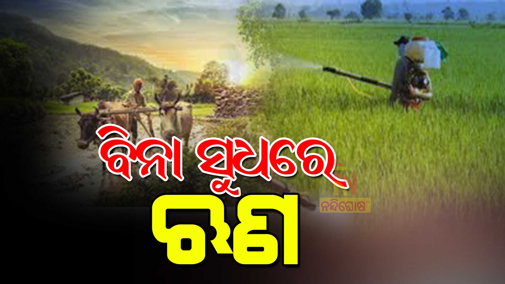 ବିନା-ସୁଧରେ-ଋଣ