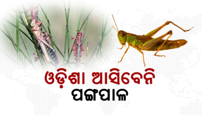 ୯ ଜିଲ୍ଲାରୁ ଟଳିଛି ସଂକଟ: ଉପକୂଳ ଜିଲ୍ଲାକୁ ତ୍ରାହି ନାହିଁ