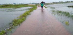 Central Team On Two Day Visit TO Flood Affected District Of Odisha