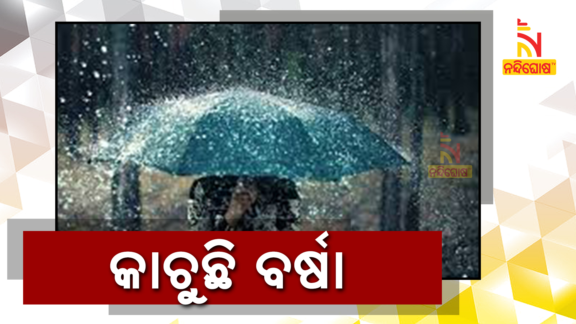 କାଚୁଛି-ବର୍ଷା