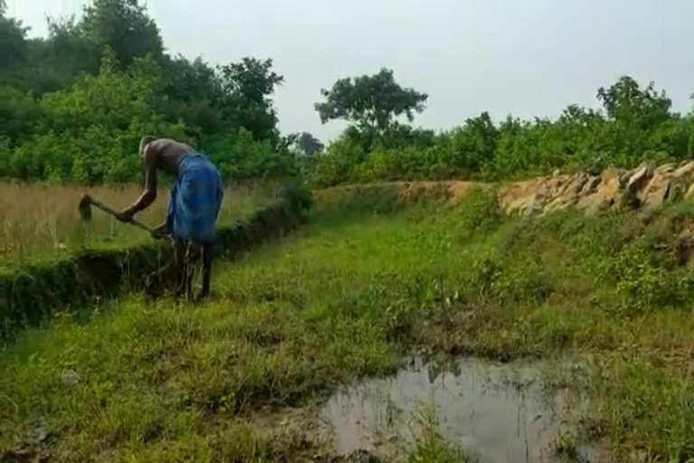 Seventy Years Old Man Made Canal With His Own Hand In Thirty Years