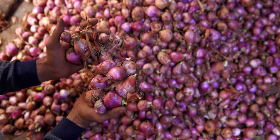 Onion Prices Jumps Four Times Know Reason Why Rates Of Onion Get Increased