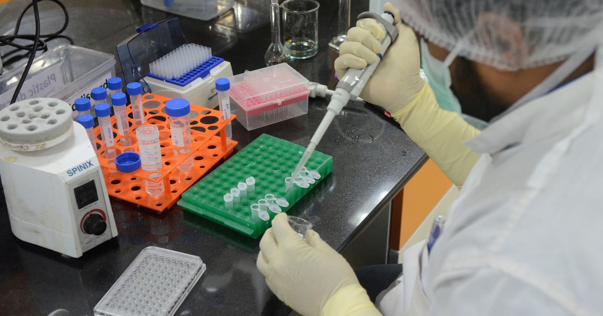 144747-cuvmltoqke-1595317790