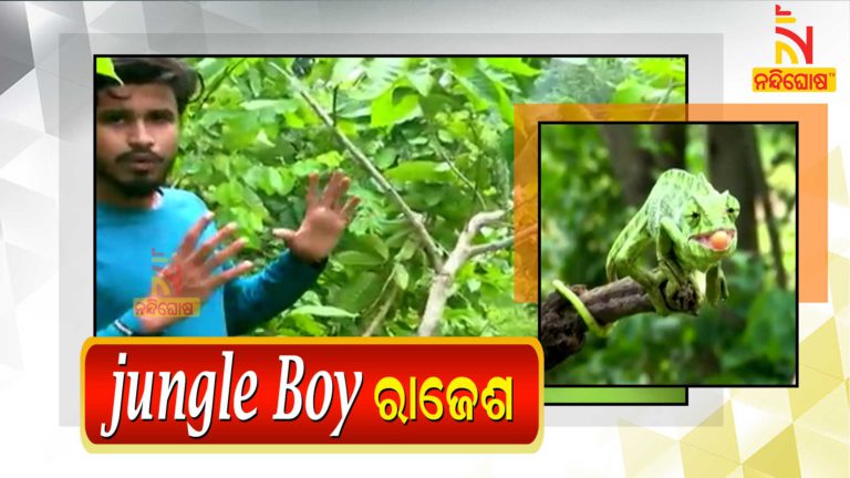 Jungle Boy Rajesh Mandal Follows Bear Grylls, Choose To Go Wild