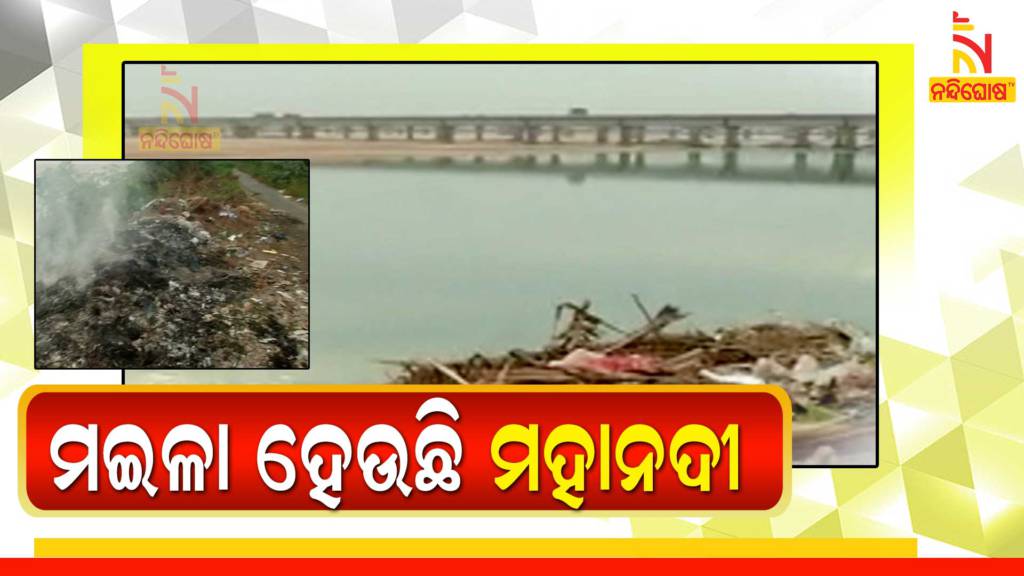 Mahanadi Polluted By Industrial Waste Of Cuttack