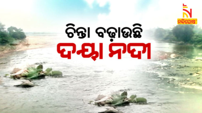 Pollution Increased During Last 10 Years In Daya River