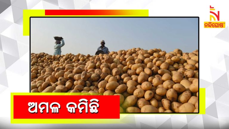 Potato Prices Up 92 In One Year Onions By 44 In India