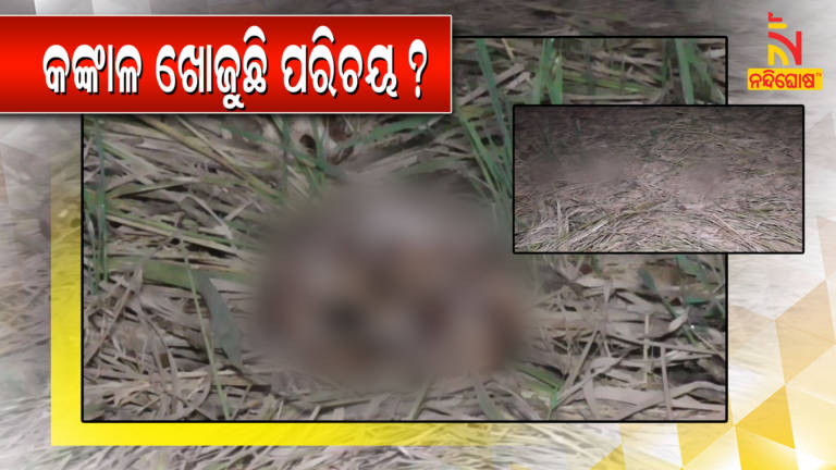 Skeleton Found From Paddy Field Of Ganjam Khallikote  