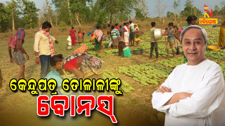 Naveen Declared 92.37 Core Assistance For Kendu Leaf Bonus