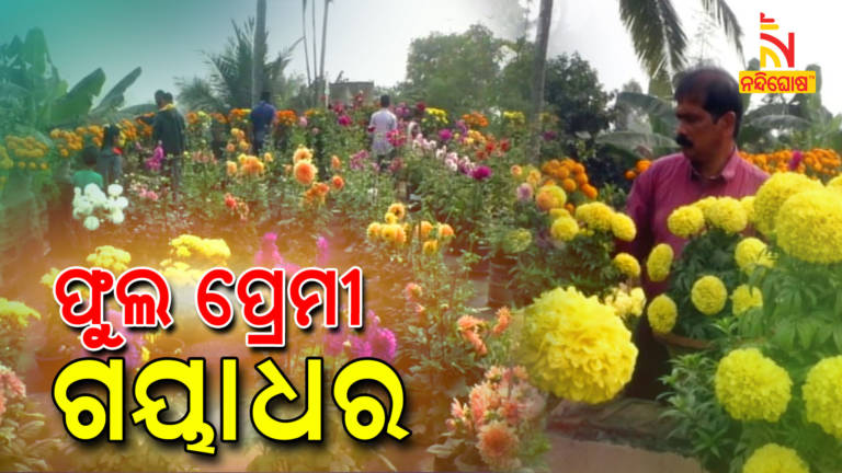 Flower Lover Gayadhar