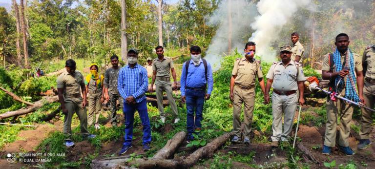 Gunpur Police Destroyed Ganja Worth 40 Cores