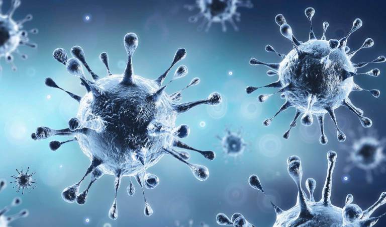 Triple Mutant Coronavirus B1618 Reported In India