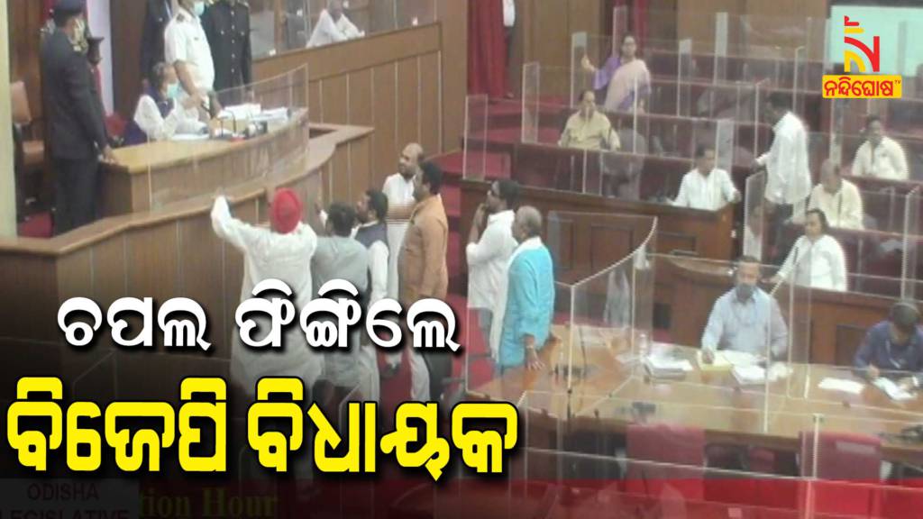BJP MLA Throws Sandal To Speaker In Odisha Assembly