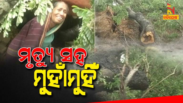 Cyclone Yass, House Damaged In Dangamal Of Bhitarakanika
