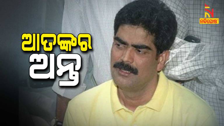 Former RJD MP Mohammad Shahabuddin Dies From Corona