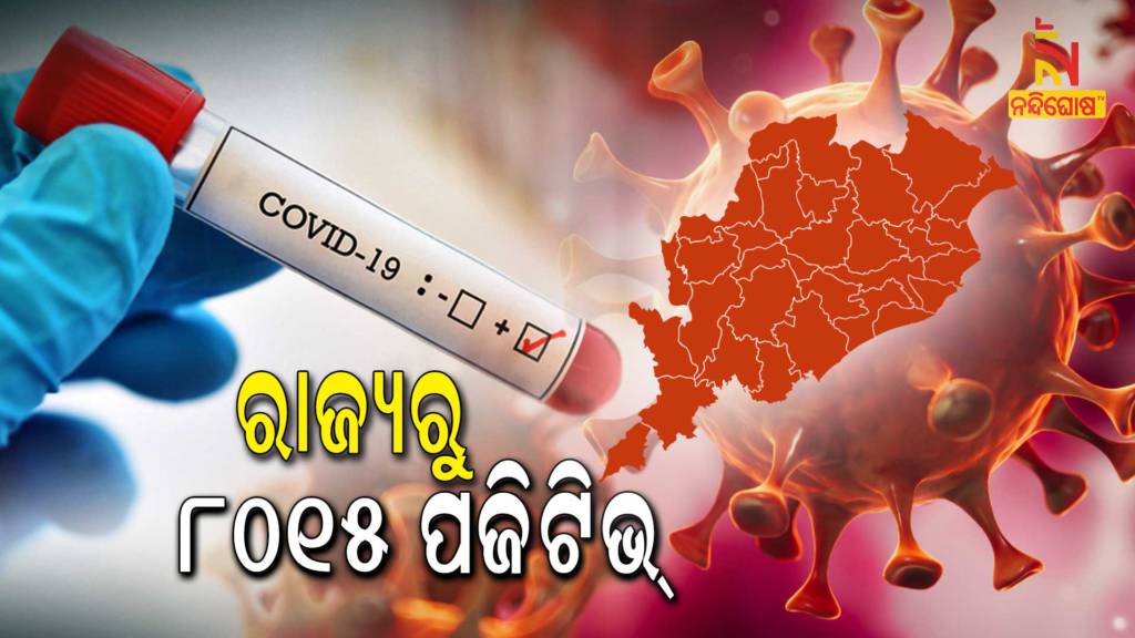 Odisha Reports 8015 Covid Positive Cases