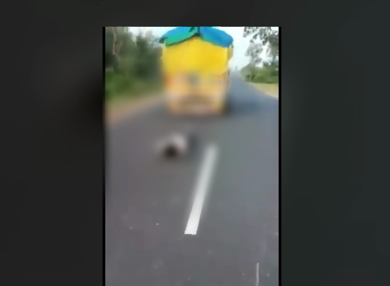 Tribal Youth Died In Nimoch Madhya Pradesh