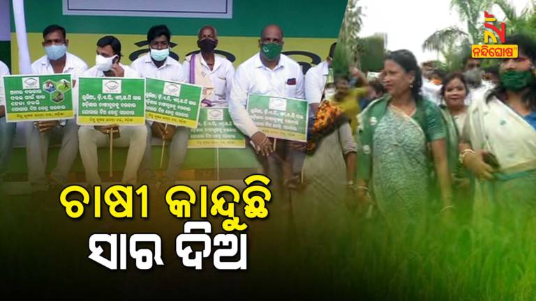 Fertilizer Shortage In Odisha, BJD Protest Against Centre Fertilizer Shortage In Odisha, BJD Protest Against Centre