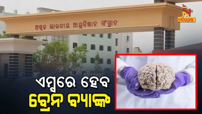 Satelite Brain Banks To Be Established In BBSR AIIMS