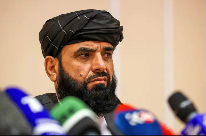 Spokesperson Of Taliban Suhail Shaheen Big Statement On Kashmir