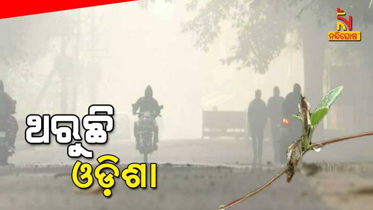 Cold Wave Grips Odisha, Mercury Falls 8.5 Degree In Daringabadi