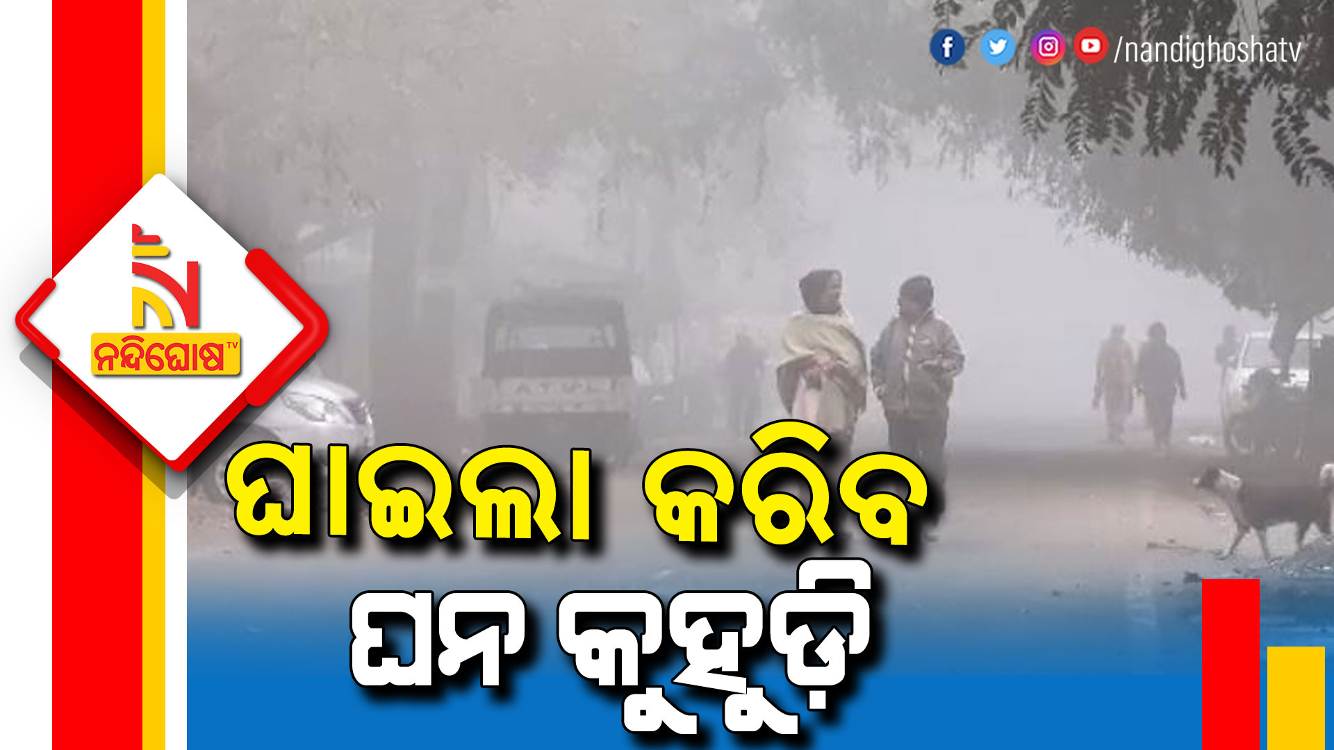 Dense Fog Yellow Warning For Different Districts Of Odisha Dense Fog Yellow Warning For Different Districts Of Odisha