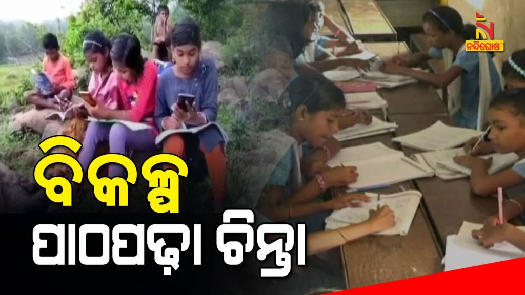 When The Primary School WIll Open In Odisha