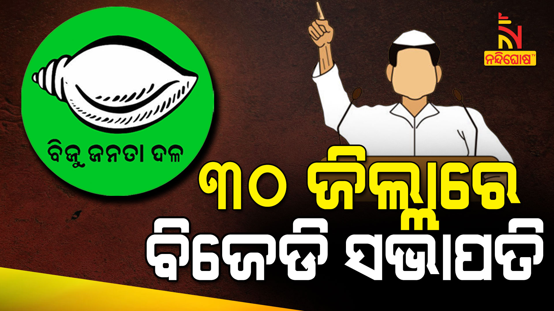 ୩୦-ଜିଲ୍ଲାରେ-ବିଜେଡି-ସଭାପତି