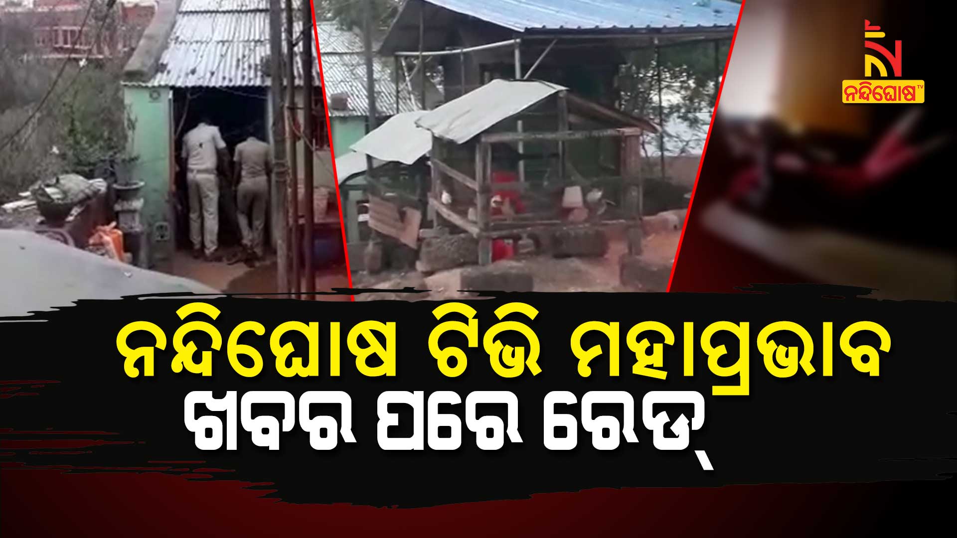 Tangi Police Nabbed Sex Racket After News In NandighoshaTV Tangi Police Nabbed Sex Racket After News In NandighoshaTV