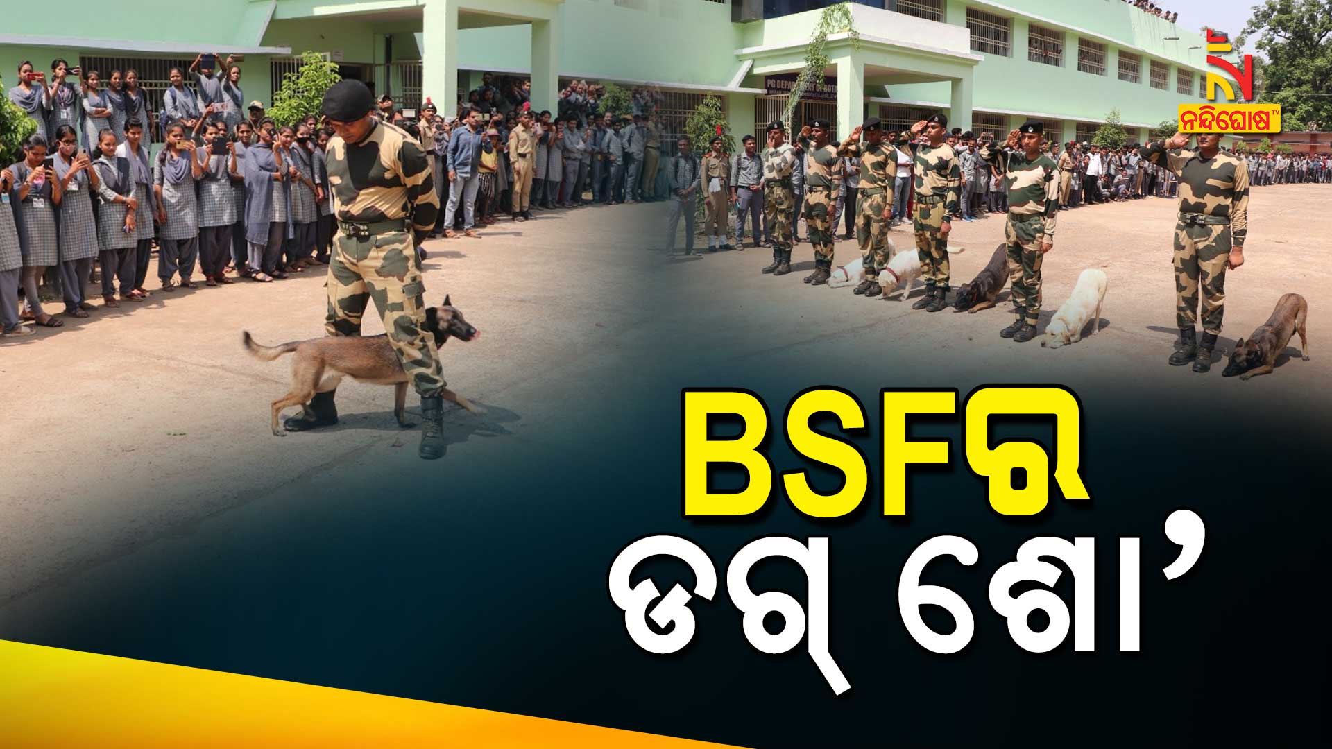 koraput-bsf-dog-show