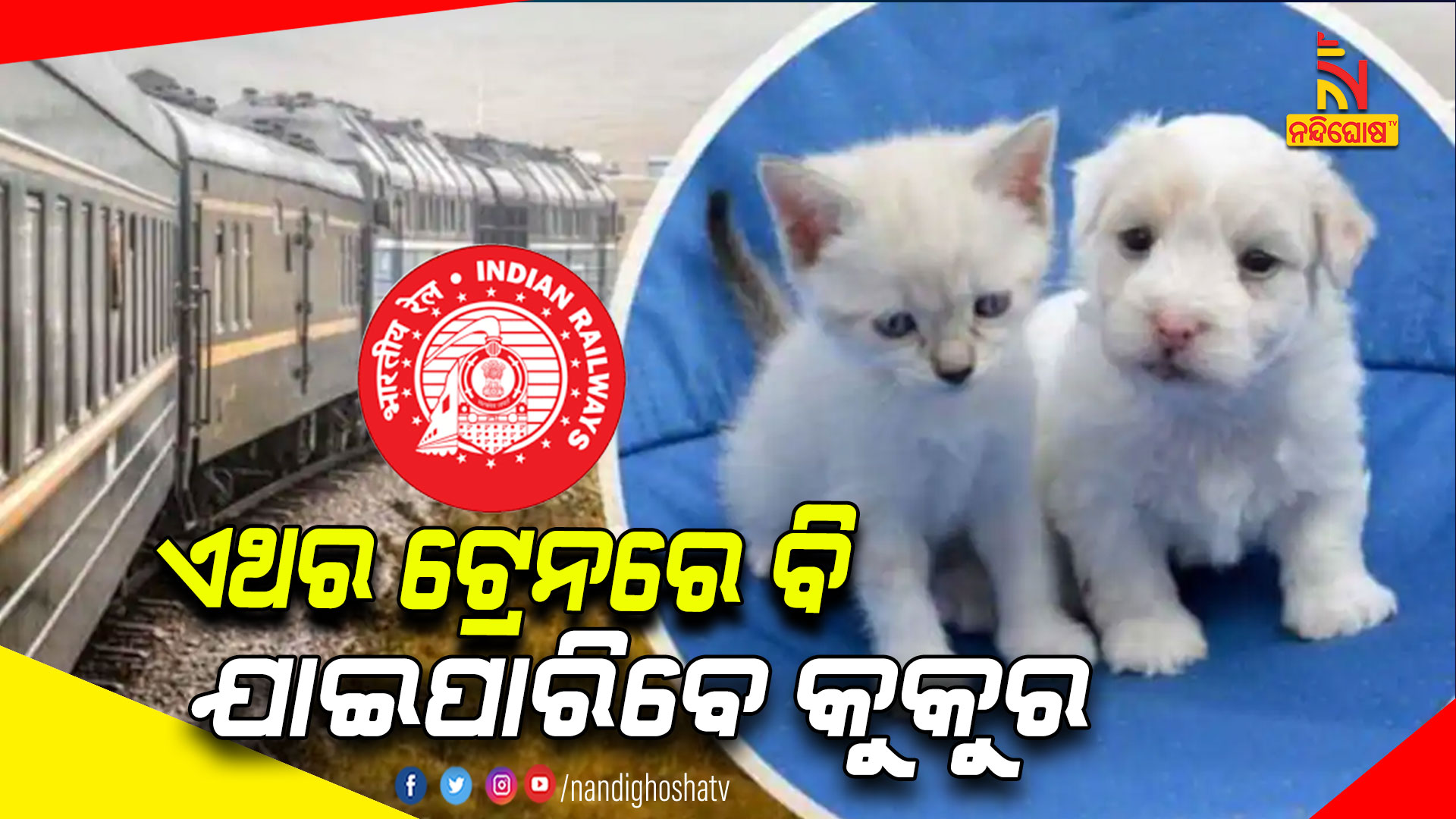ଏଥର-ଟ୍ରେନରେ-ବି-ଯାଇପାରିବେ-କୁକୁର