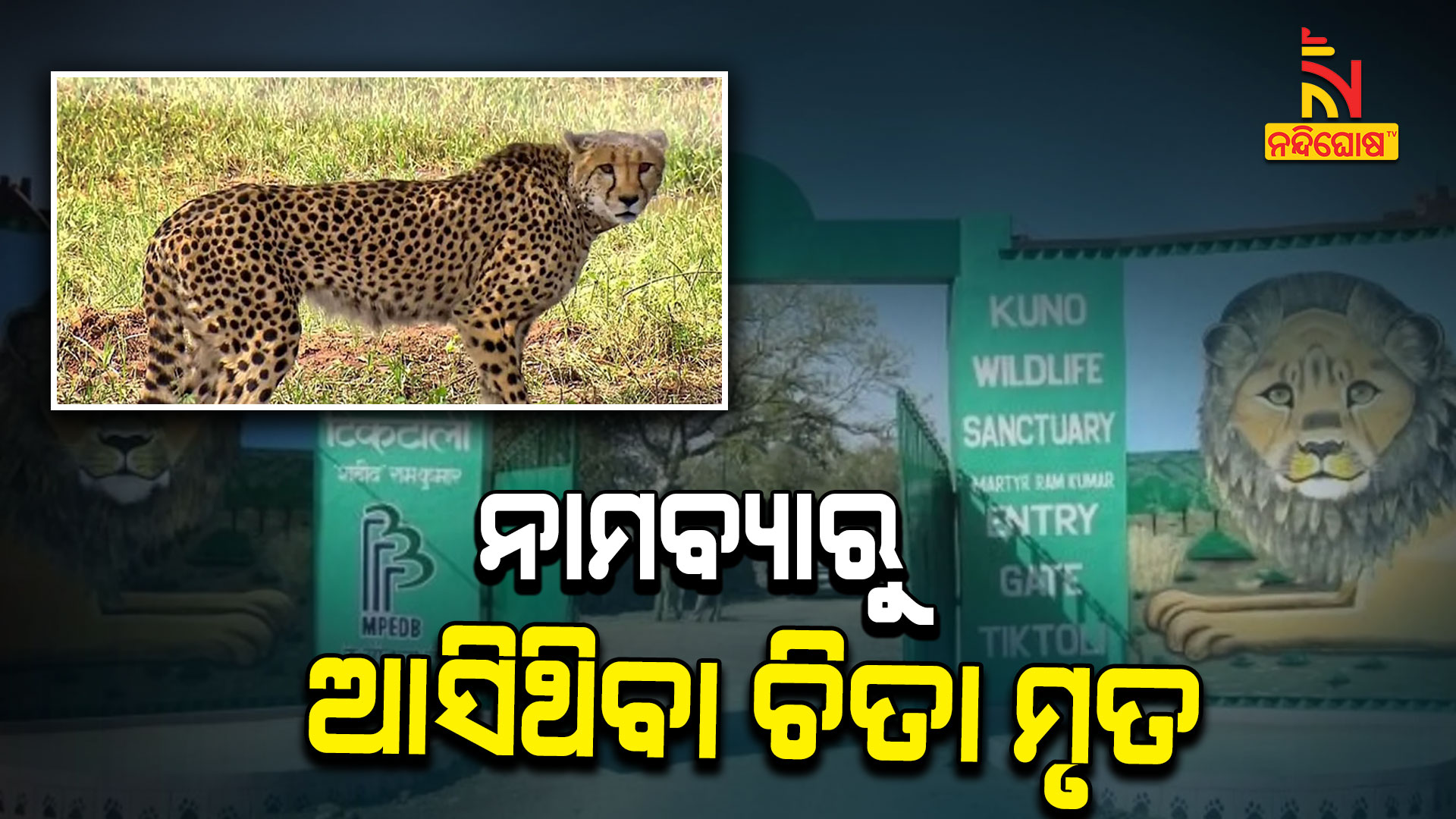 ନାମବ୍ୟାରୁ-ଆସିଥିବା-ଚିତା-ମୃତ