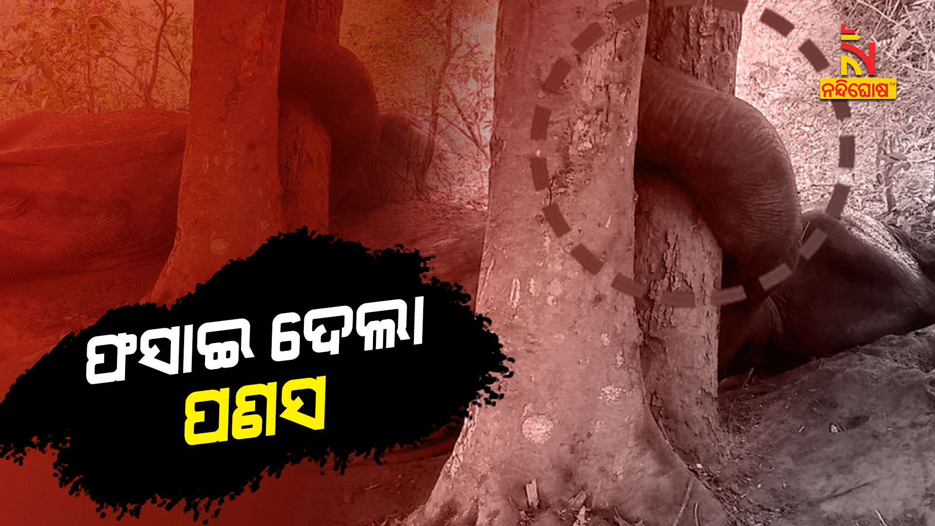 ଫସାଇ-ଦେଲା-ପଣସ