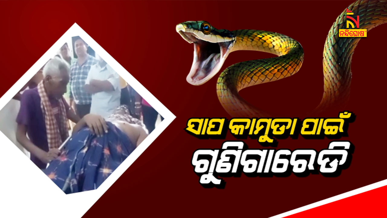6.30pm_snake-bite