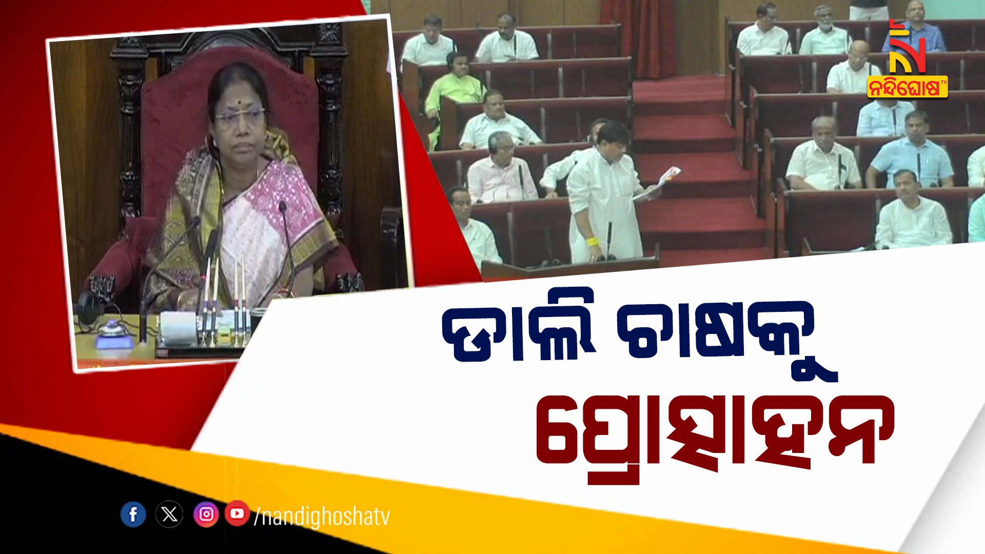 ଡାଲି-ଚାଷକୁ-ପ୍ରୋତ୍ସାହନ--Today-Assembly_Avo