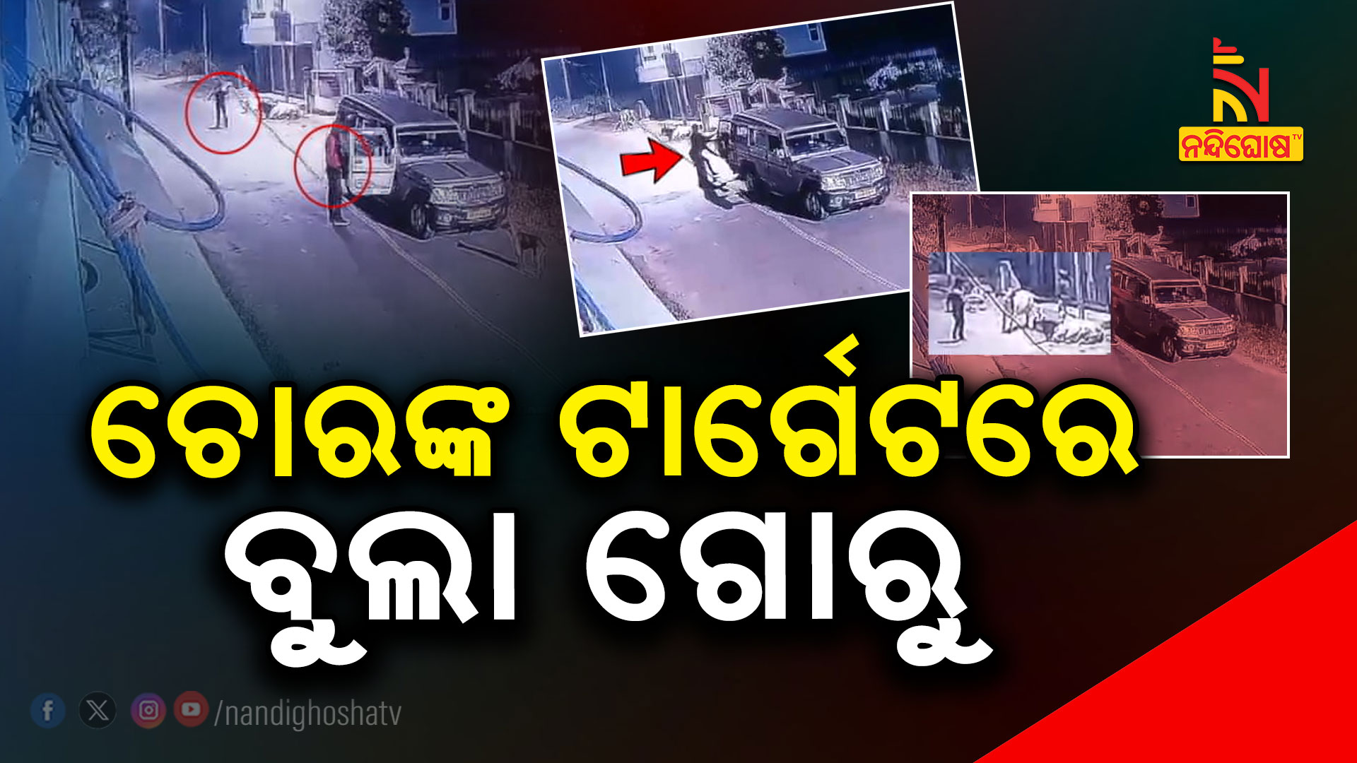 ଚୋରଙ୍କ-ଟାର୍ଗେଟରେ-ବୁଲା-ଗୋରୁ