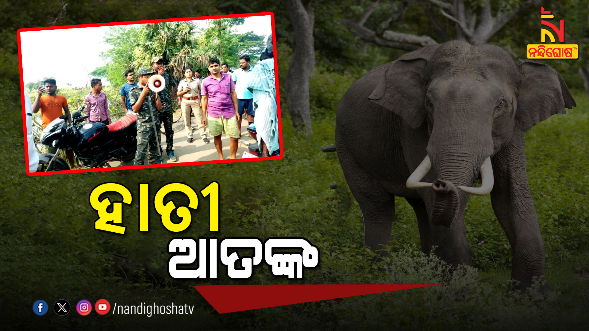 ହାତୀ-ଆତଙ୍କ