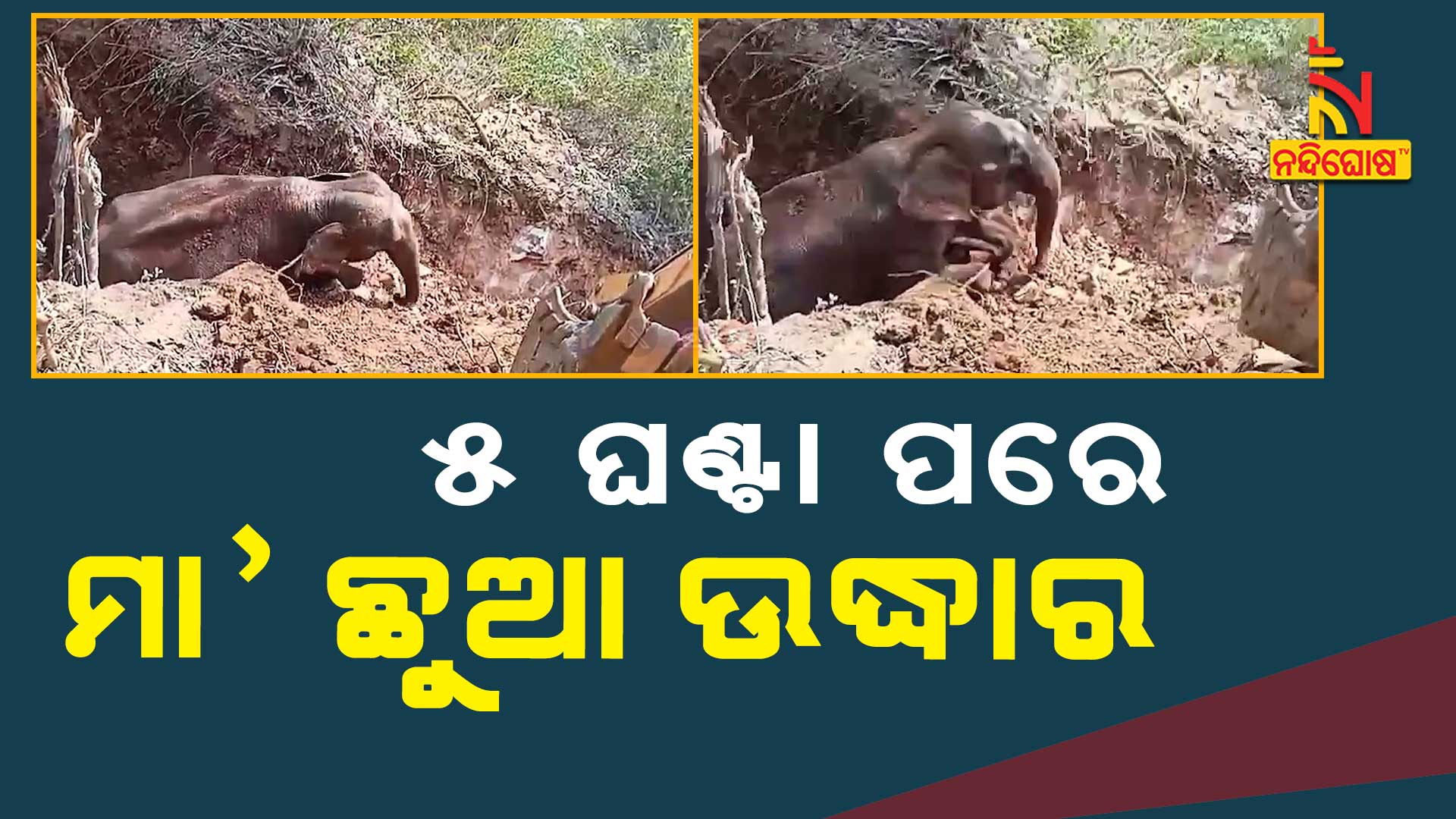 ୫-ଘଣ୍ଟା-ପରେ-ମା’-ଛୁଆ-ଉଦ୍ଧାର