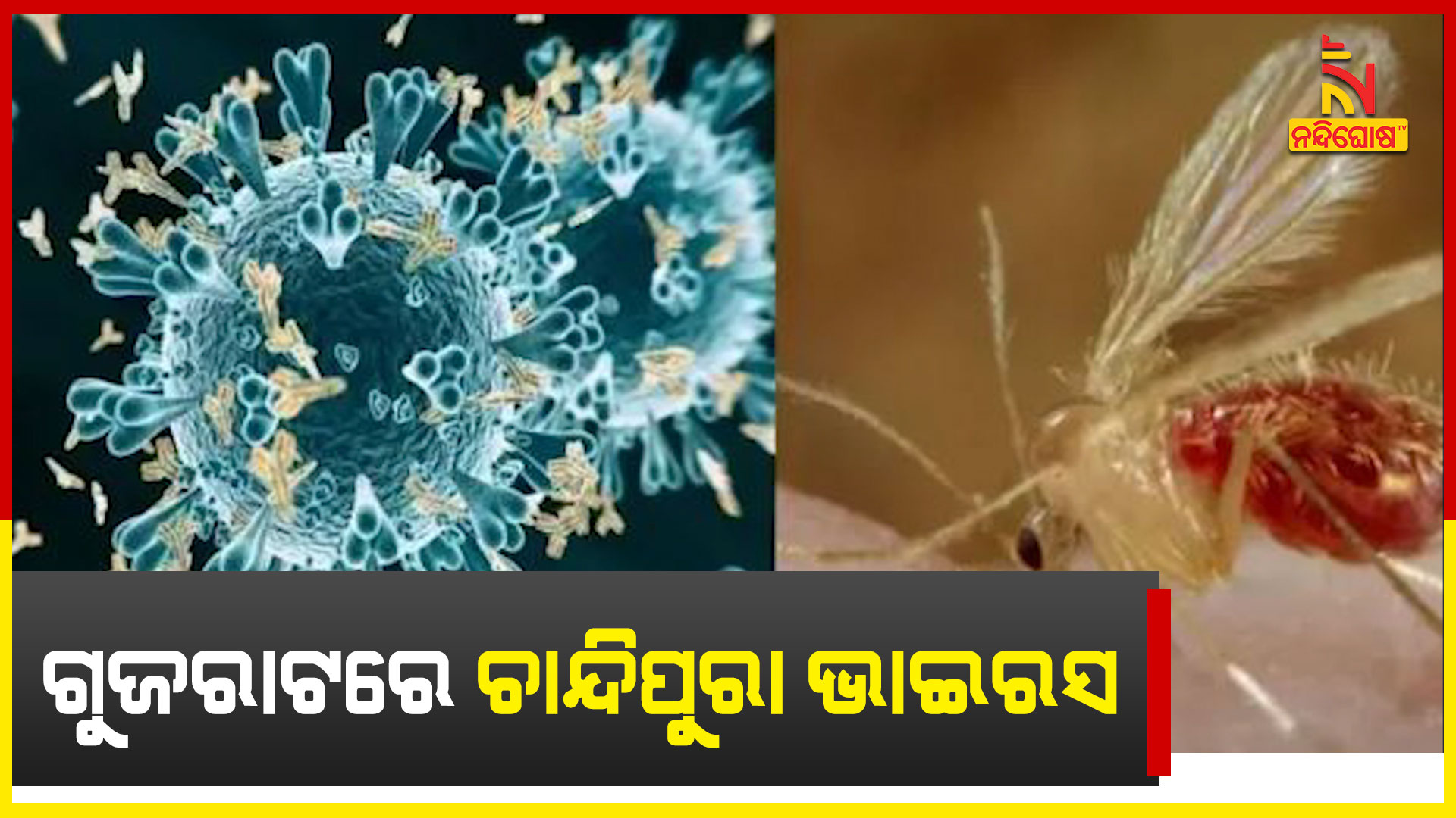 CHANDIPURA_VIRUS