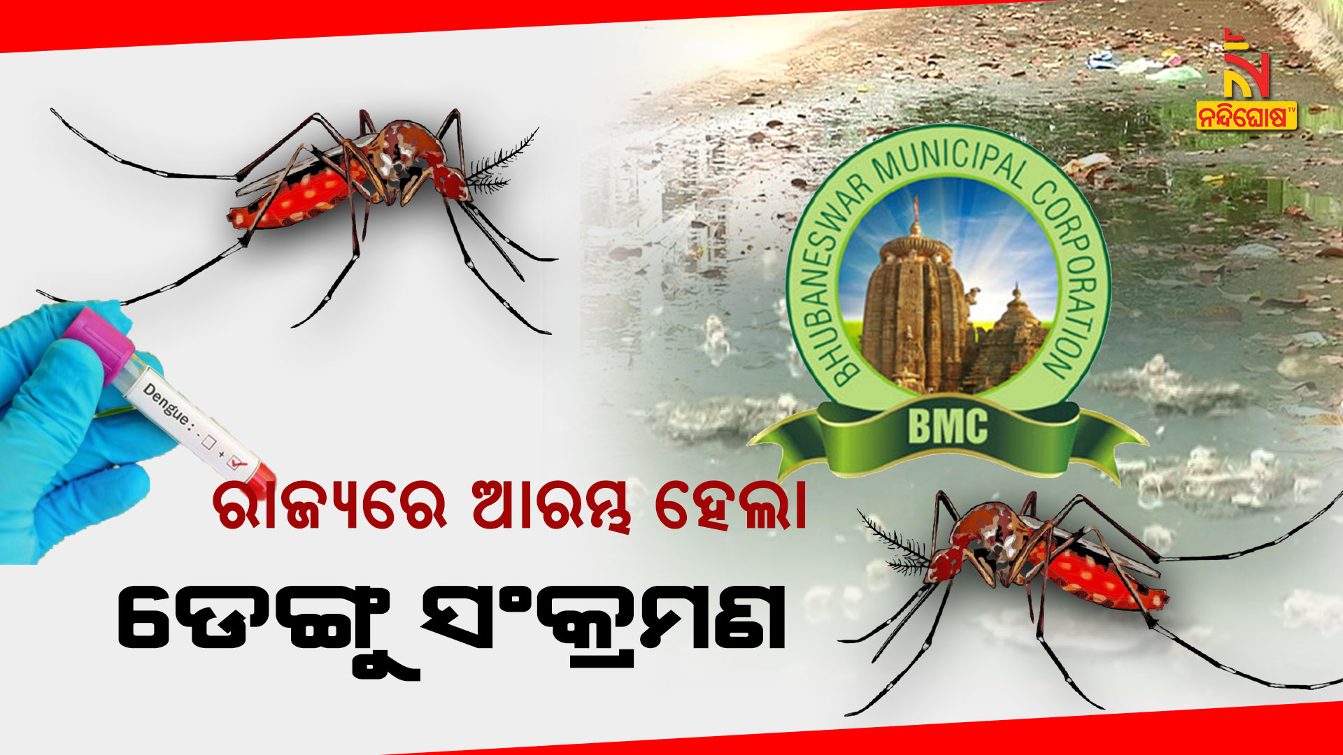ରାଜ୍ୟରେ-ଆରମ୍ଭ-ହେଲା-ଡେଙ୍ଗୁ-ସଂକ୍ରମଣ