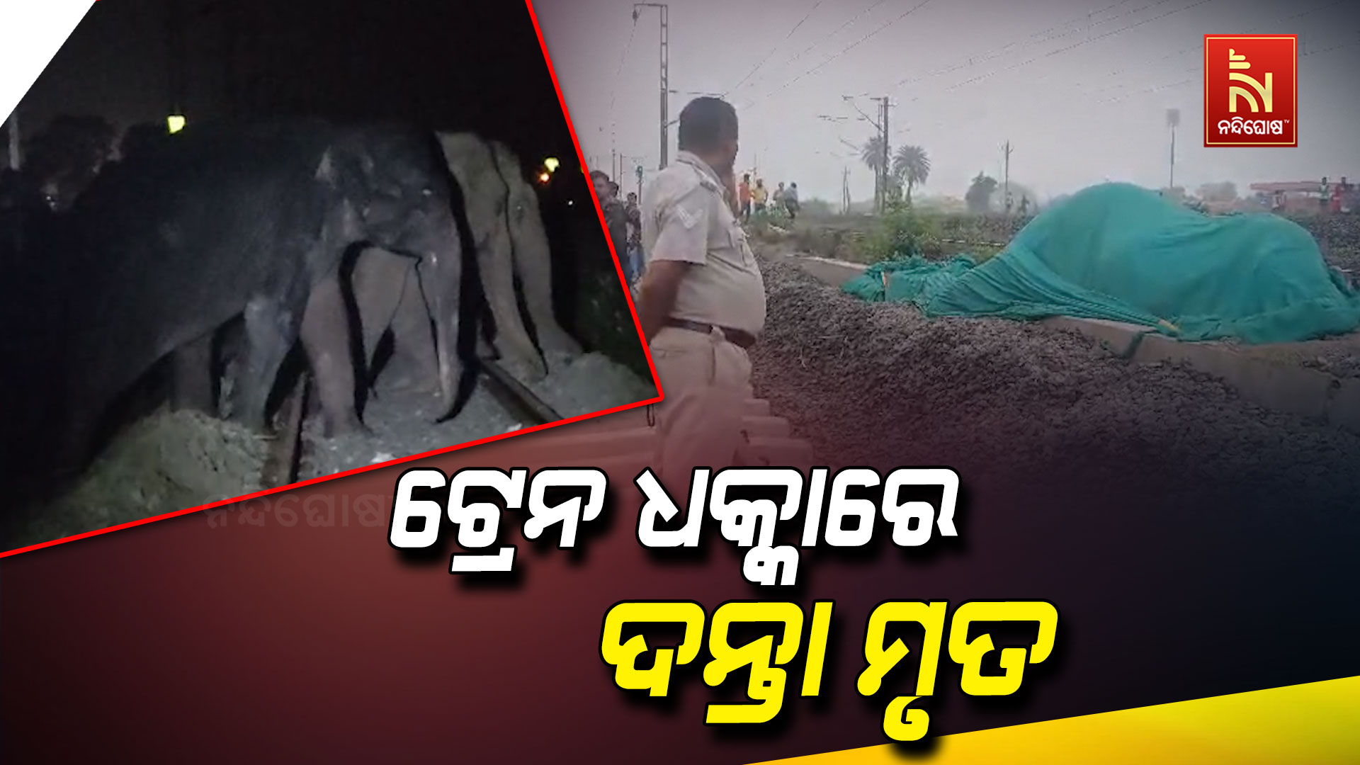 ଟ୍ରେନ-ଧକ୍କାରେ-ଦନ୍ତା-ମୃତ