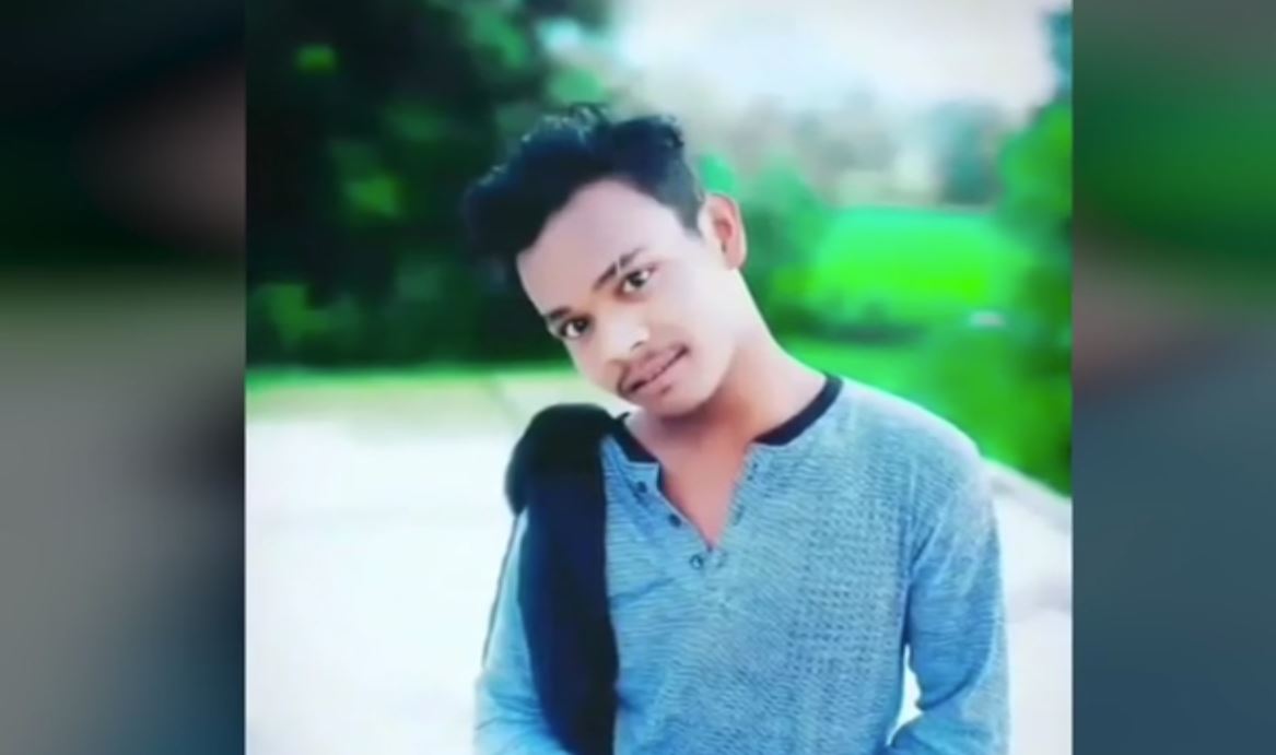 wdq