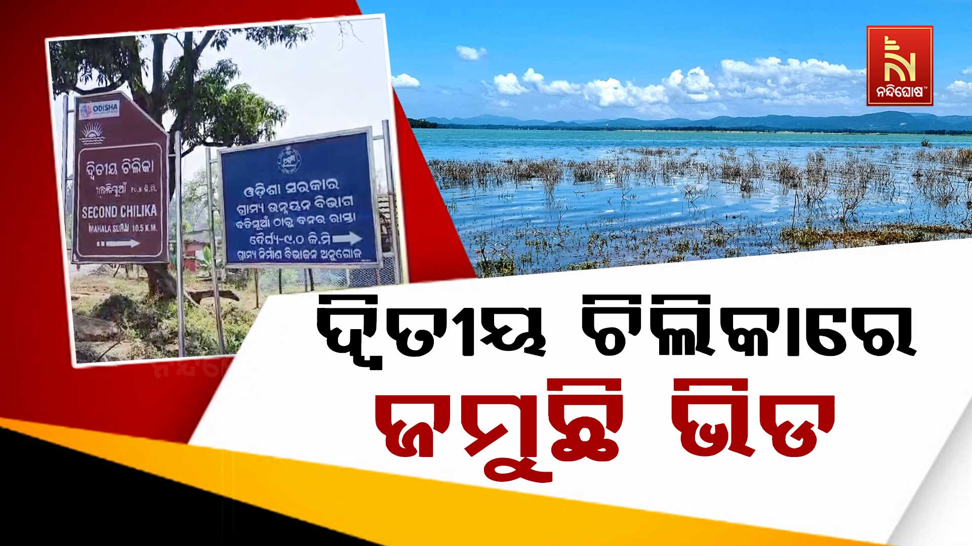 ଦ୍ଵିତୀୟ-ଚିଲିକାରେ-ଜମୁଛି-ଭିଡ-P