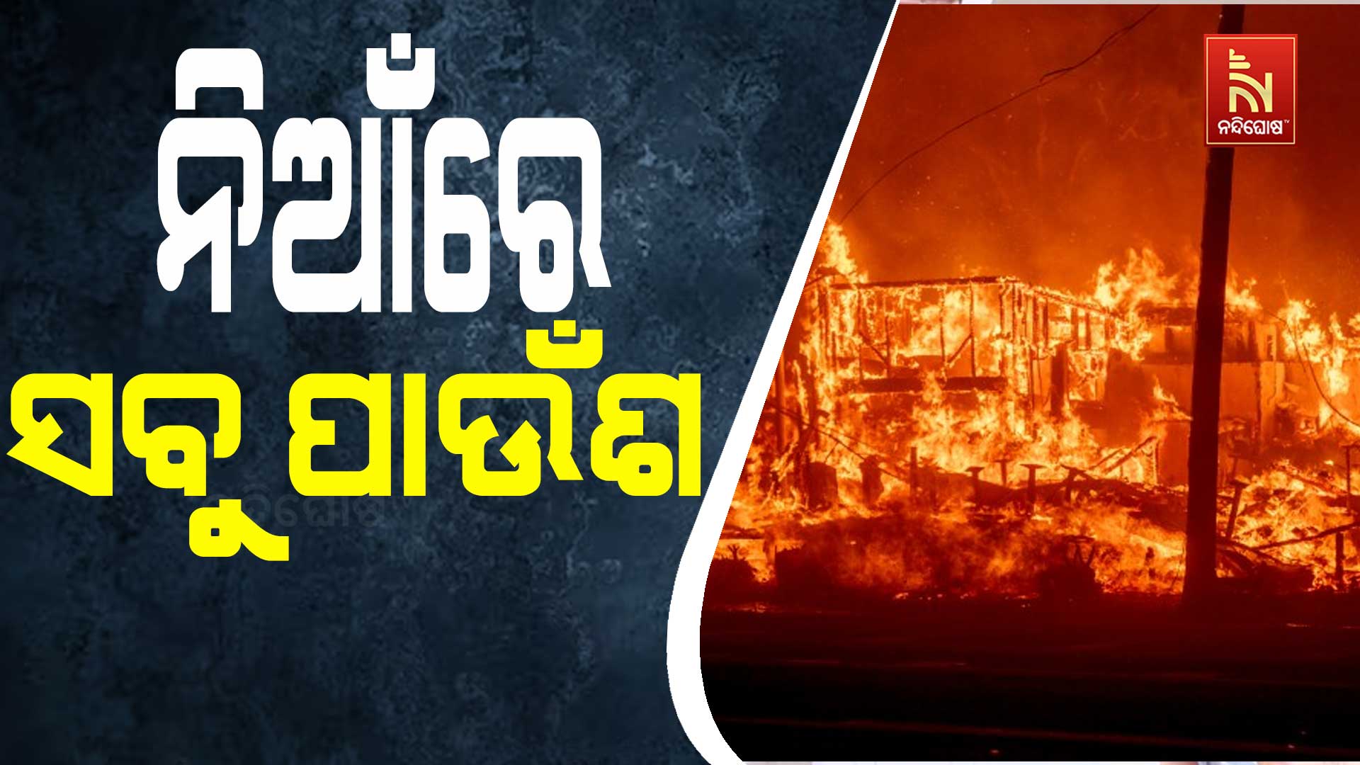 ନିଆଁରେ-ସବୁ-ପାଉଁଶ