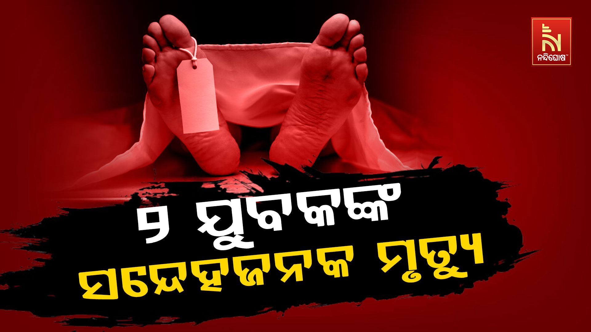 ୨-ଯୁବକଙ୍କ-ସନ୍ଦେହଜନକ-ମୃତ୍ୟୁ
