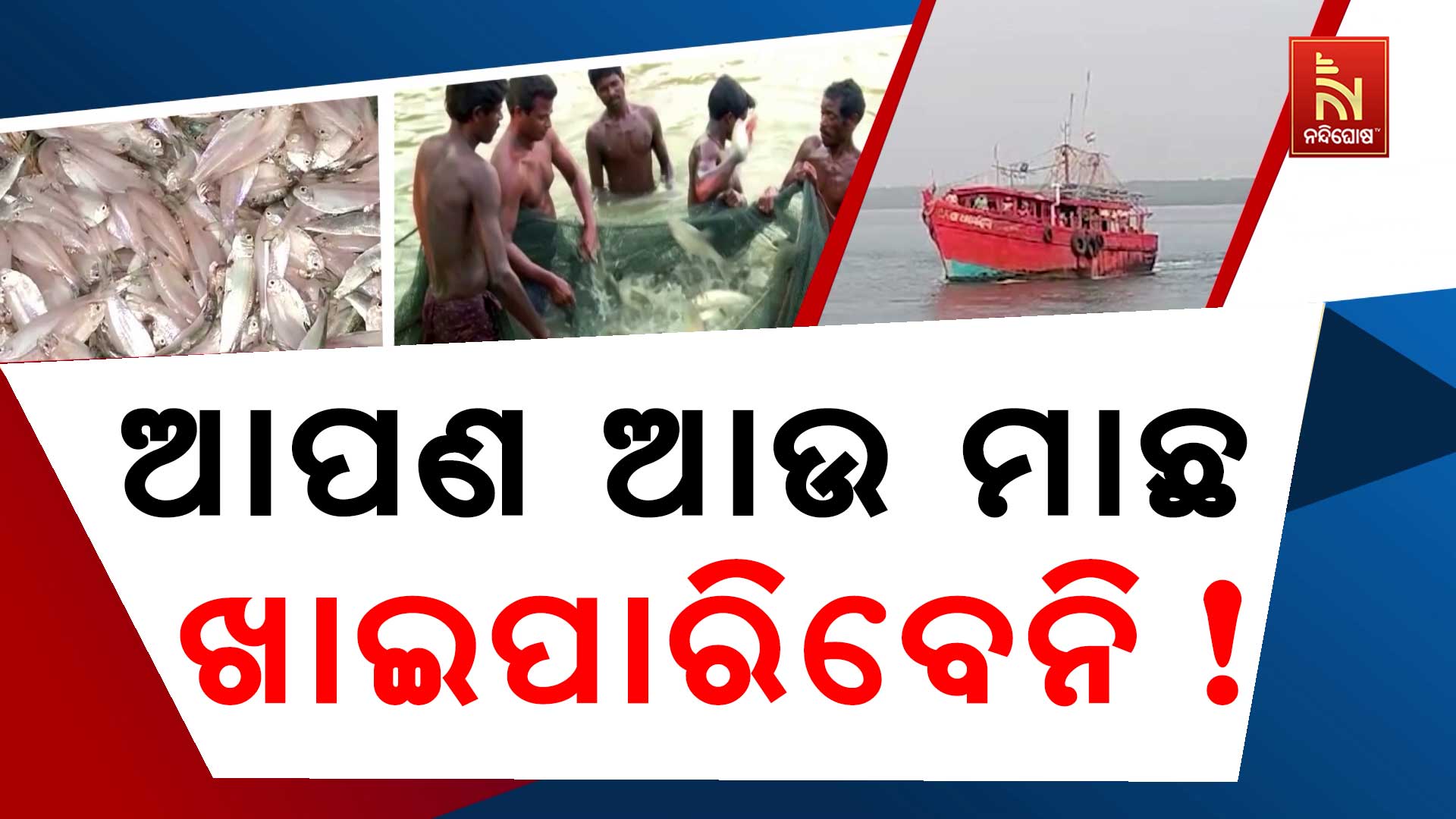 ଆପଣ-ଆଉ-ମାଛ-ଖାଇପାରିବେନି!