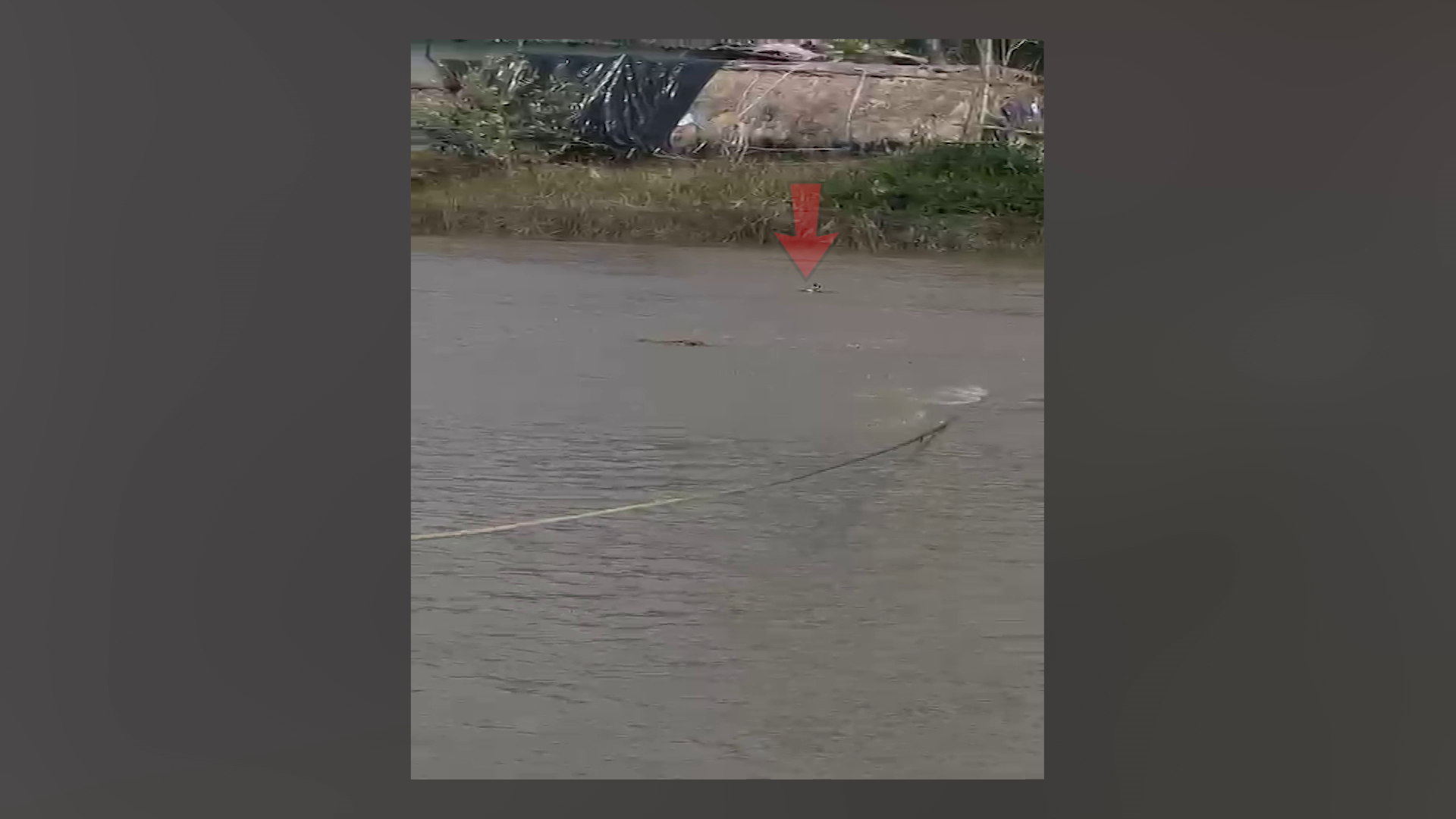 vlcsnap-2025-03-02-10h24m22s123